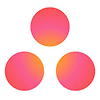 Asana & Trello Plateform
